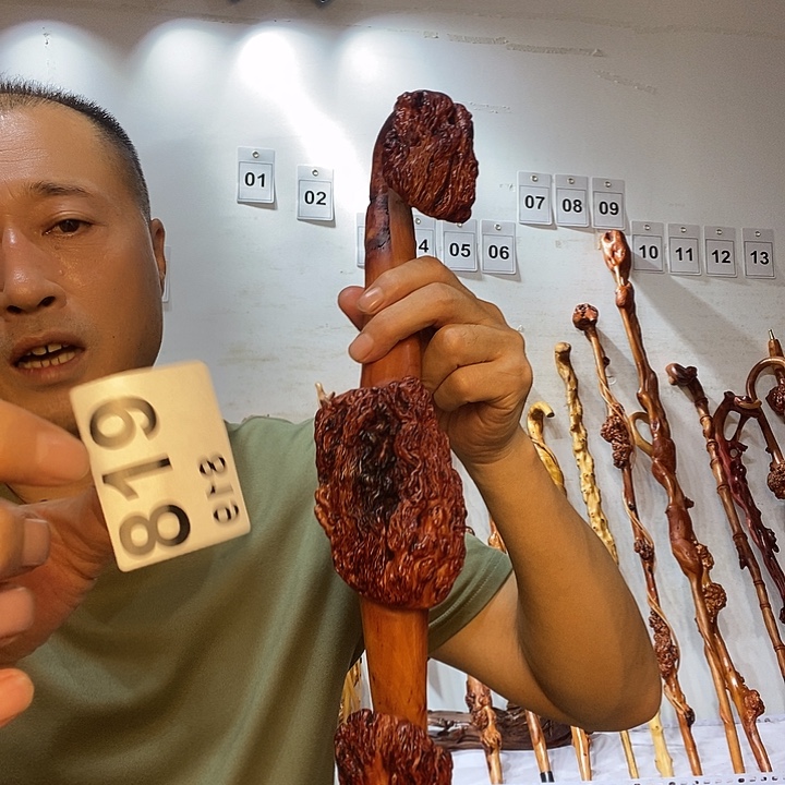 中***食黑果木云南黑果木树榴摆件