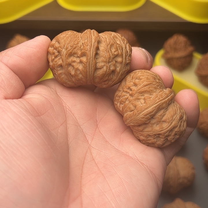 46尺精配矮桩毕业元宝