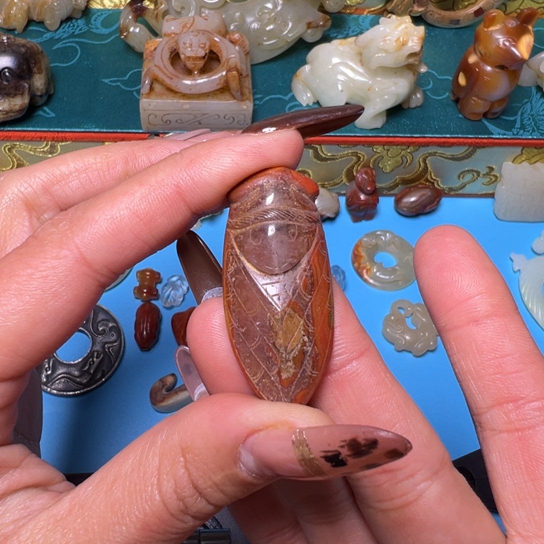 全***务小动物………………………………