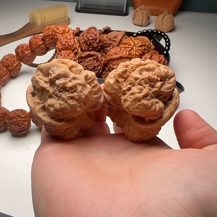 43-48-38肌肉蛙蟾型好开背C22号