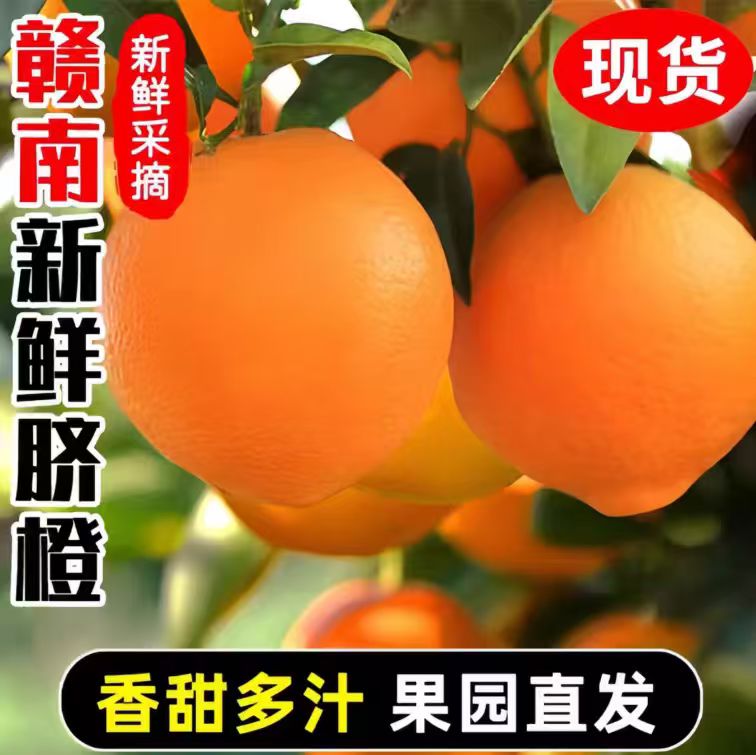 (直发)现摘正宗赣南脐橙赣州产地直发江西孕妇水果当季新鲜橙子