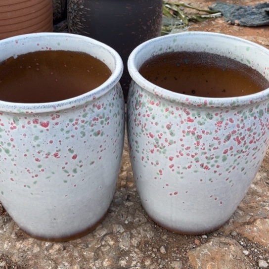 红陶口20高25正品