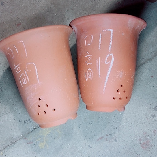 红陶紫砂紫砂紫砂