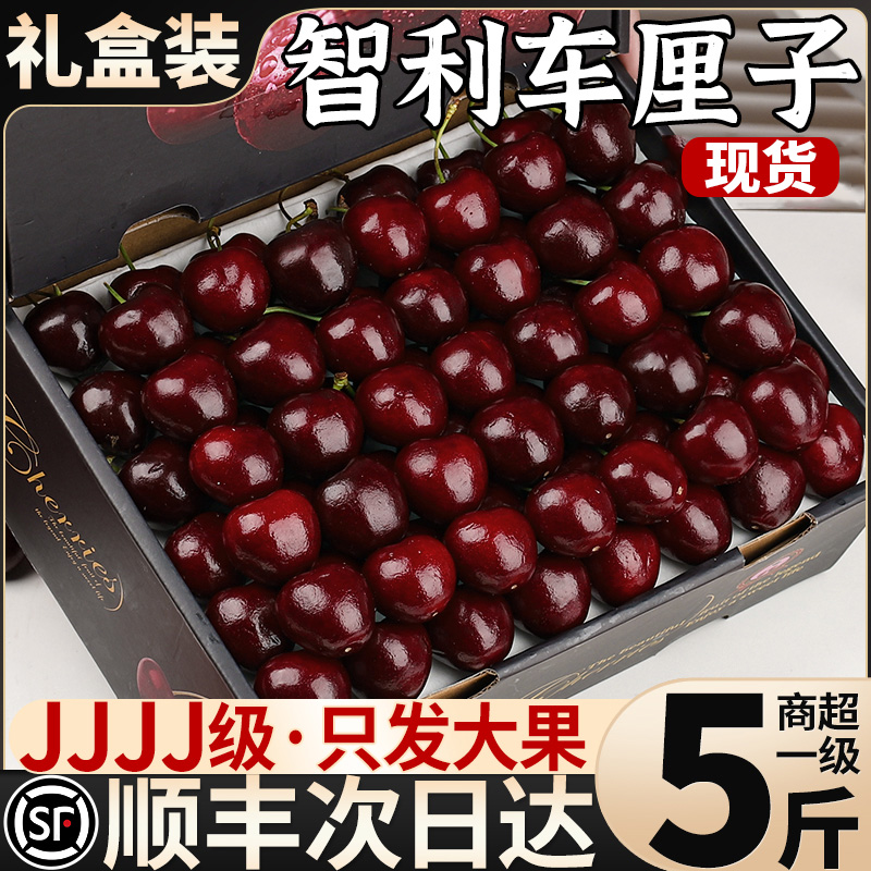 J-5J特大果智利车厘子拉宾斯进口新鲜水果整箱海运顺丰内附果径卡