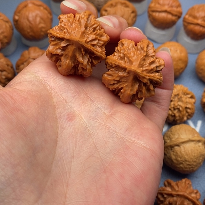 文玩核桃把件龙脊背