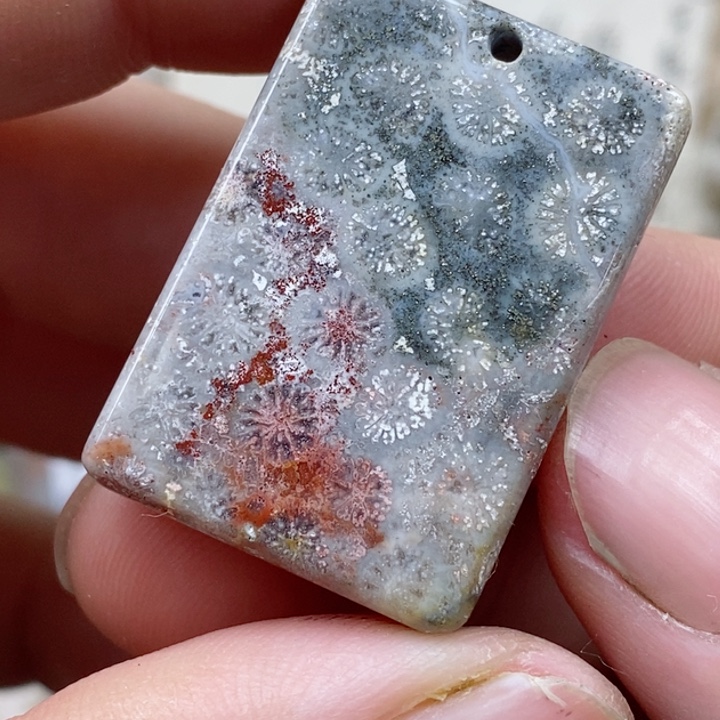 颈饰未镶嵌硅化珊瑚（珊瑚玉）