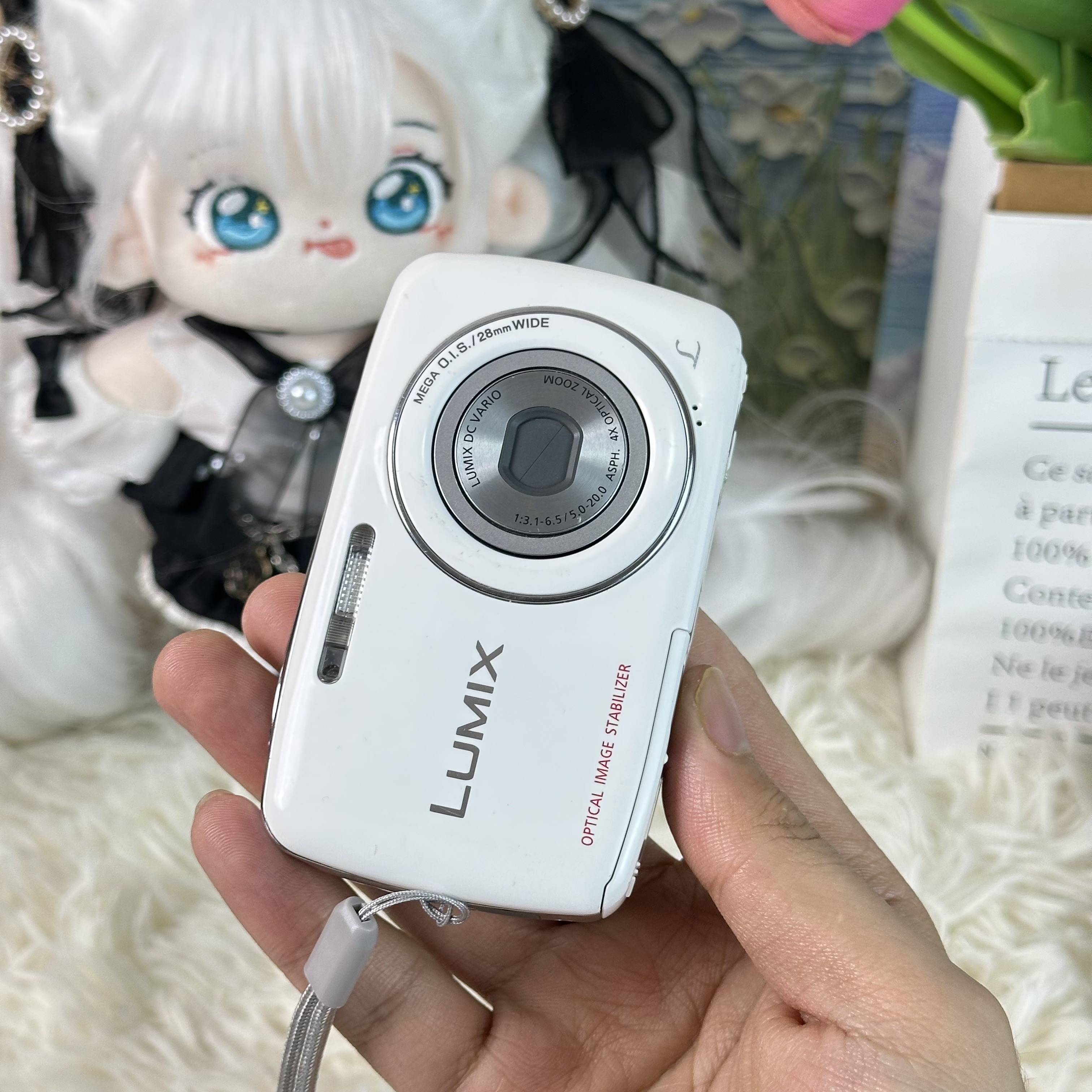 9新 Panasonic/松下 松下s1奶白冷白皮色彩感好1200万像素带配件