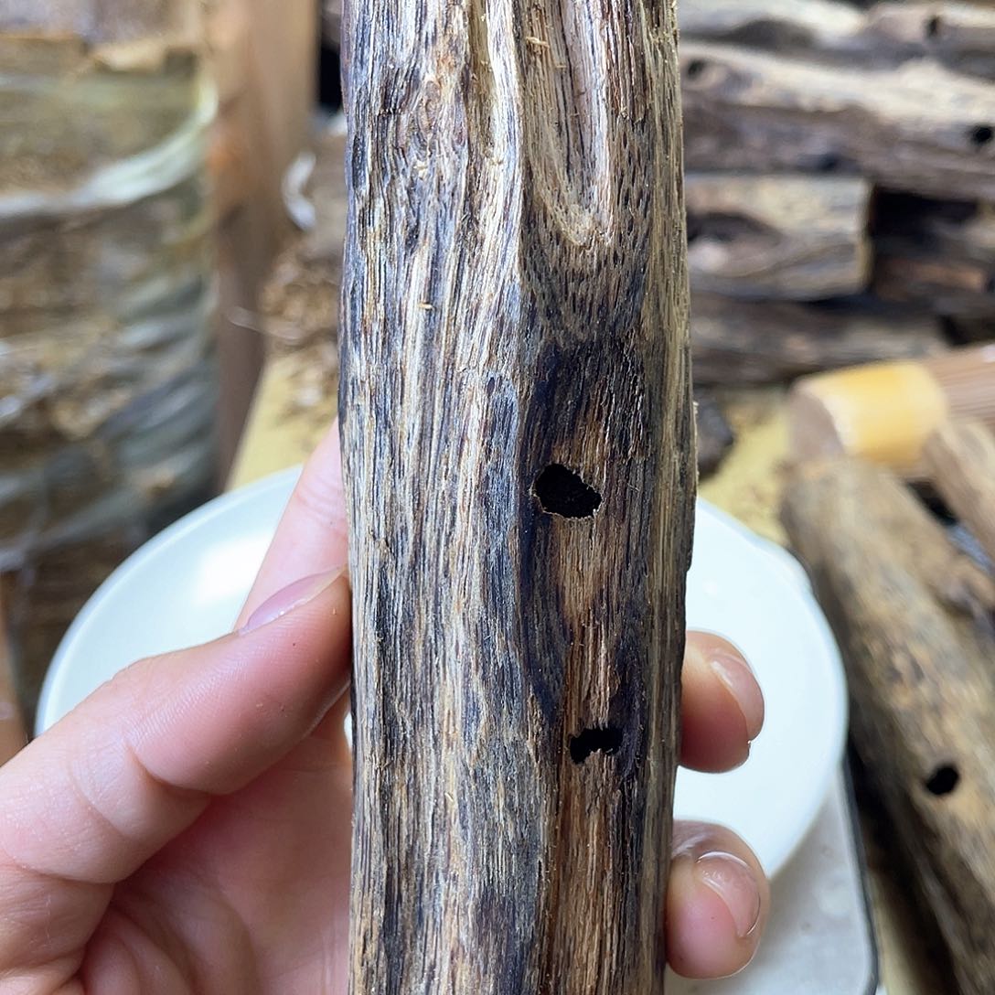 木绿奇楠虫漏原材料克