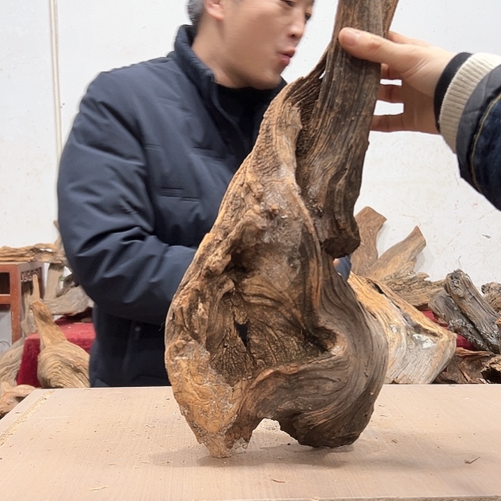 柏木奇*我们的生活也是如此的