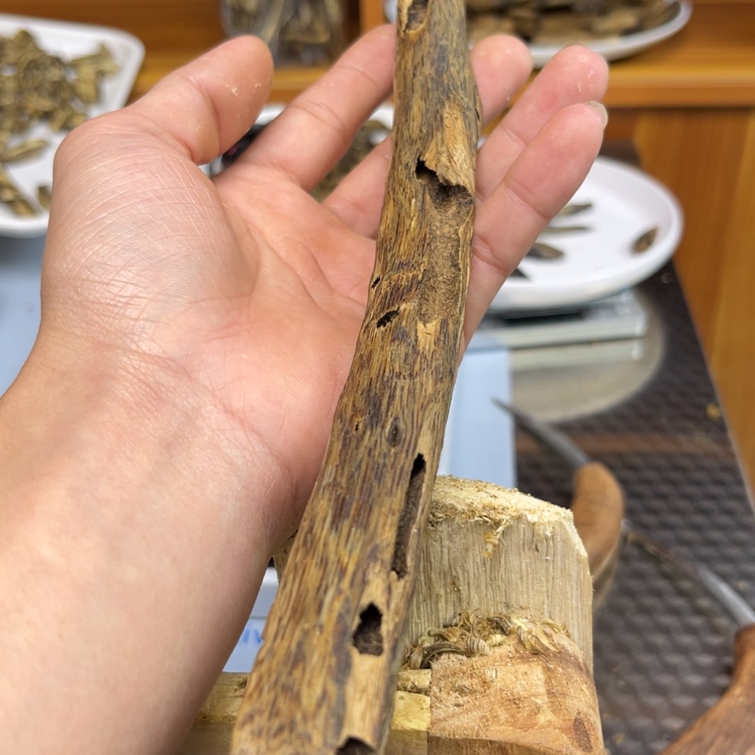 沉香沉香碎屑乌身28克