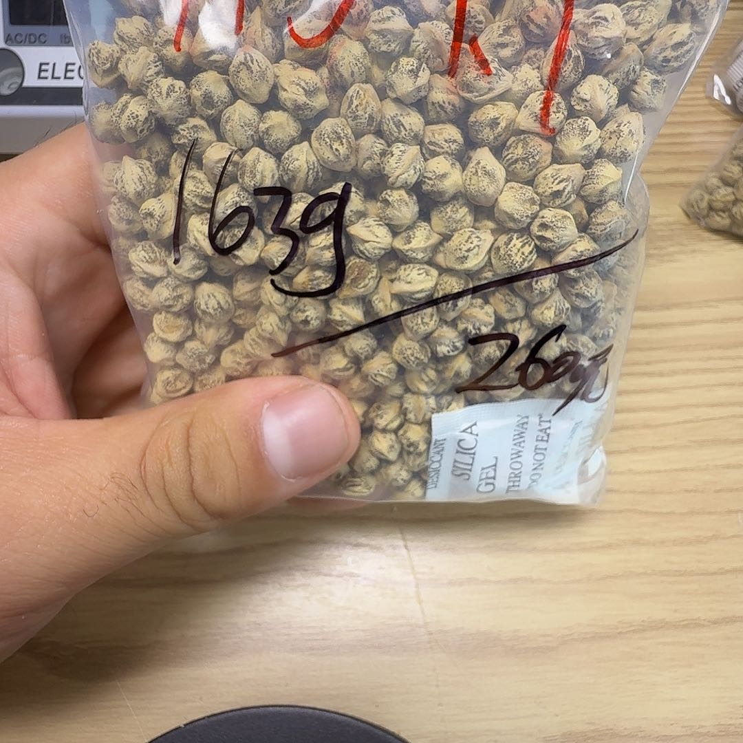 柏香籽/百香籽吊坠花**叔