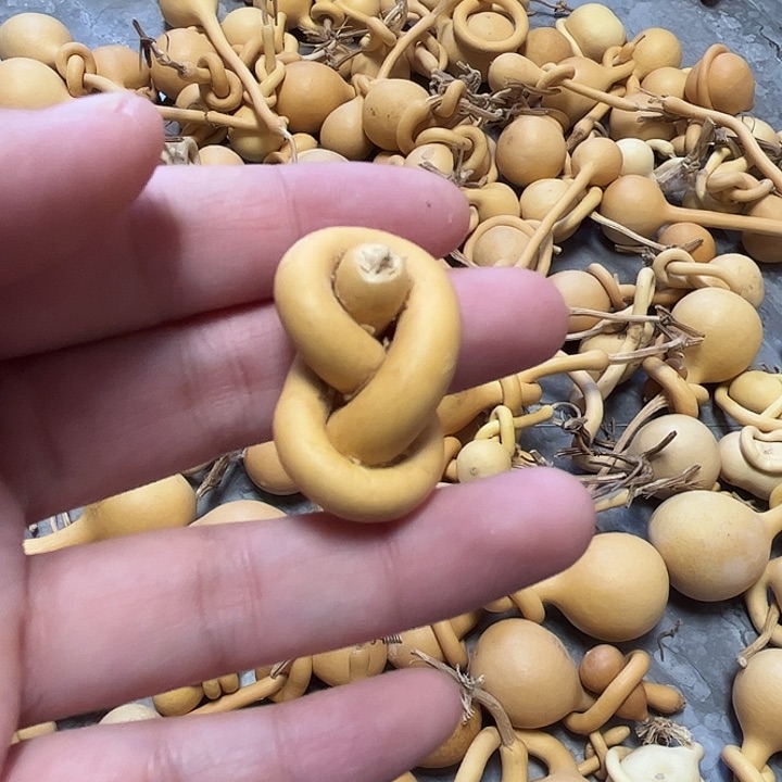 千一把八字扣葫芦