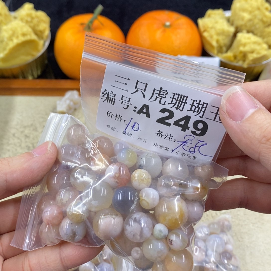硅化珊瑚（珊瑚玉）1未镶嵌元*