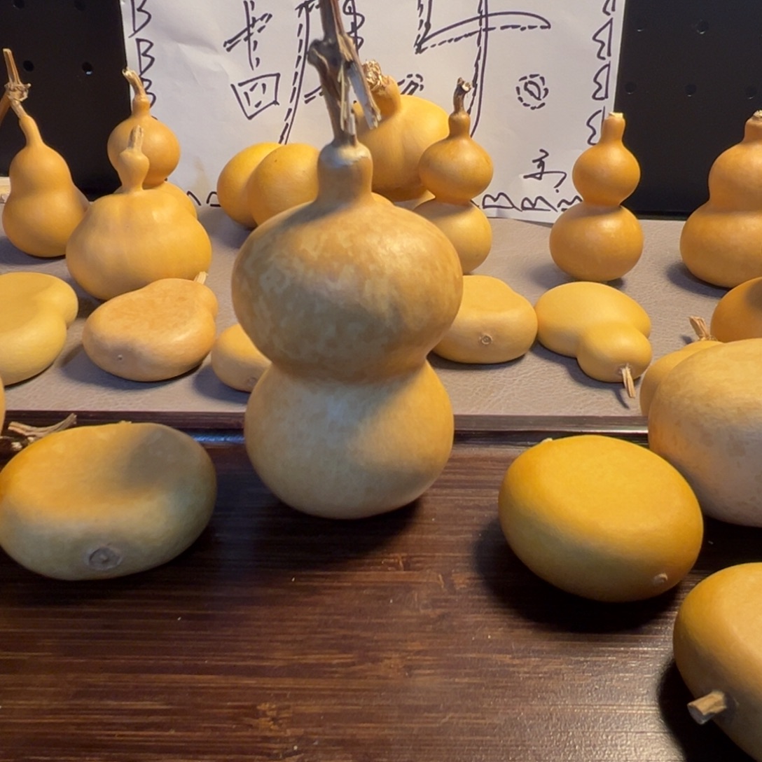 哈我还没有到了吗