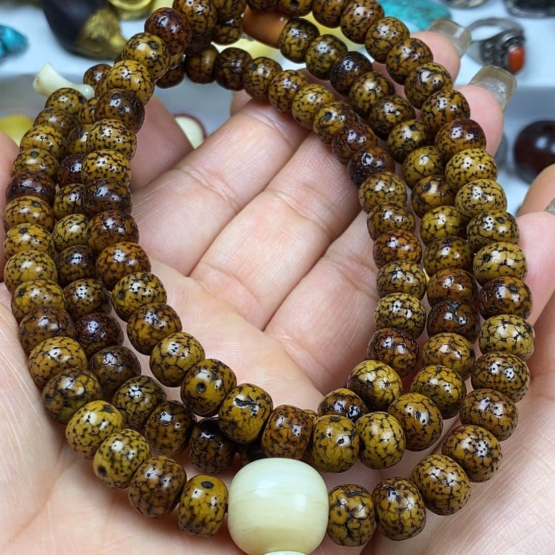 贝壳手串/手链……………………………………