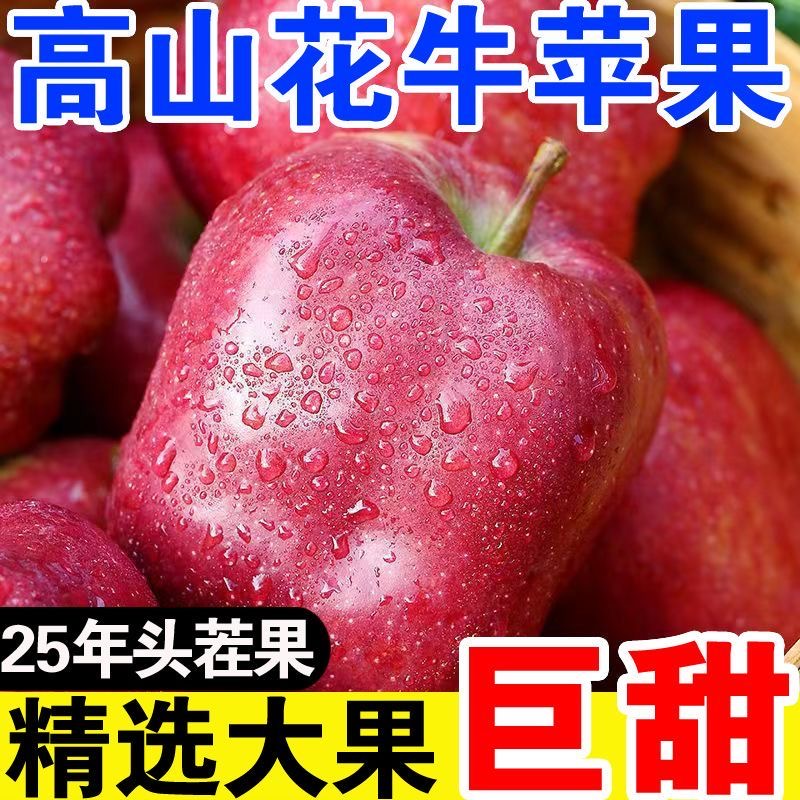 甘肃天水高山花牛苹果脆粉两吃新鲜当季水果