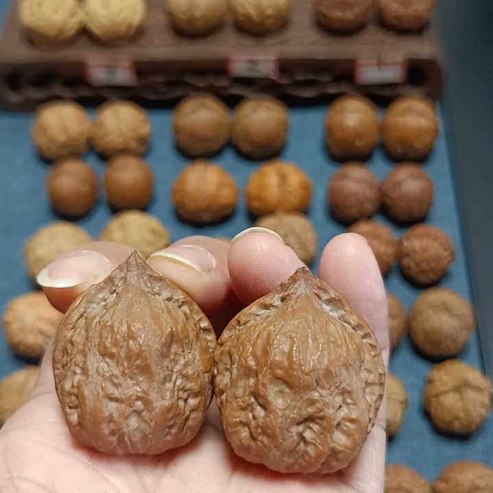 文玩核桃把件核桃