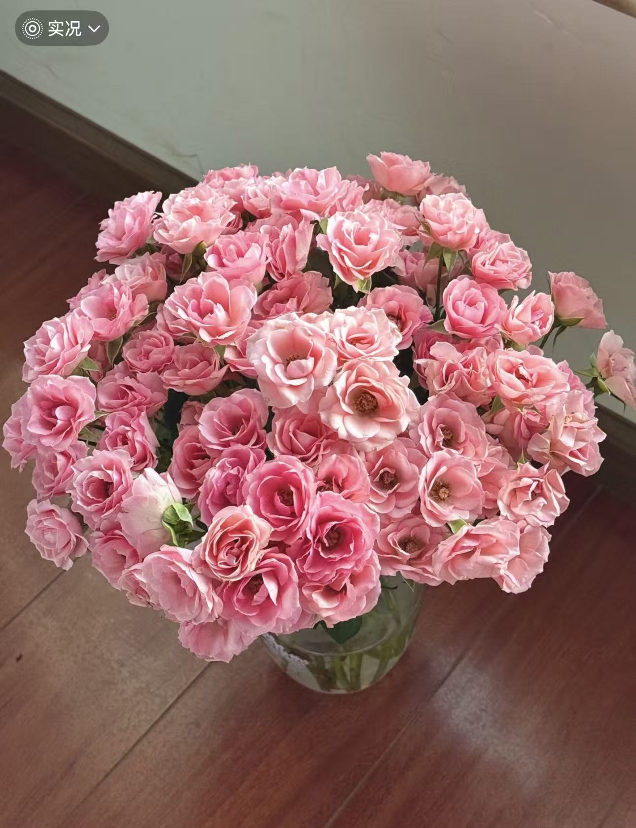 【陌上花开】上海美人-稀有多头玫瑰（注意带包装醒花哦~）