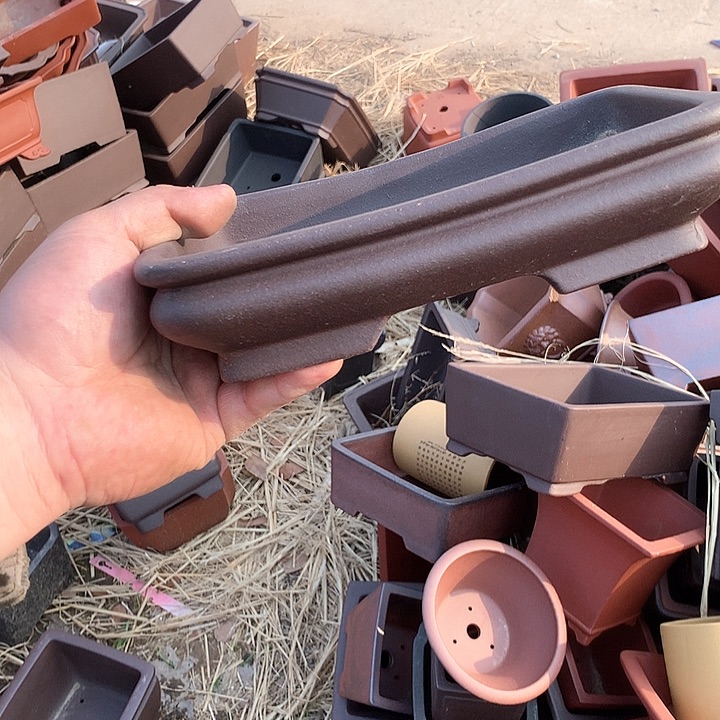 紫砂哈哈真的是太给力太多