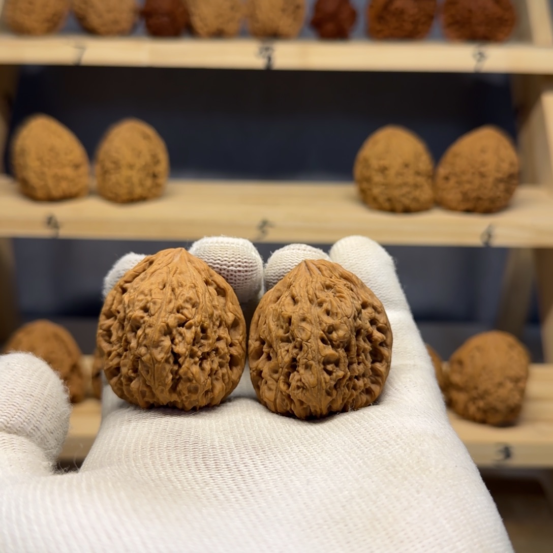 【闪购商品】一**过38炮弹