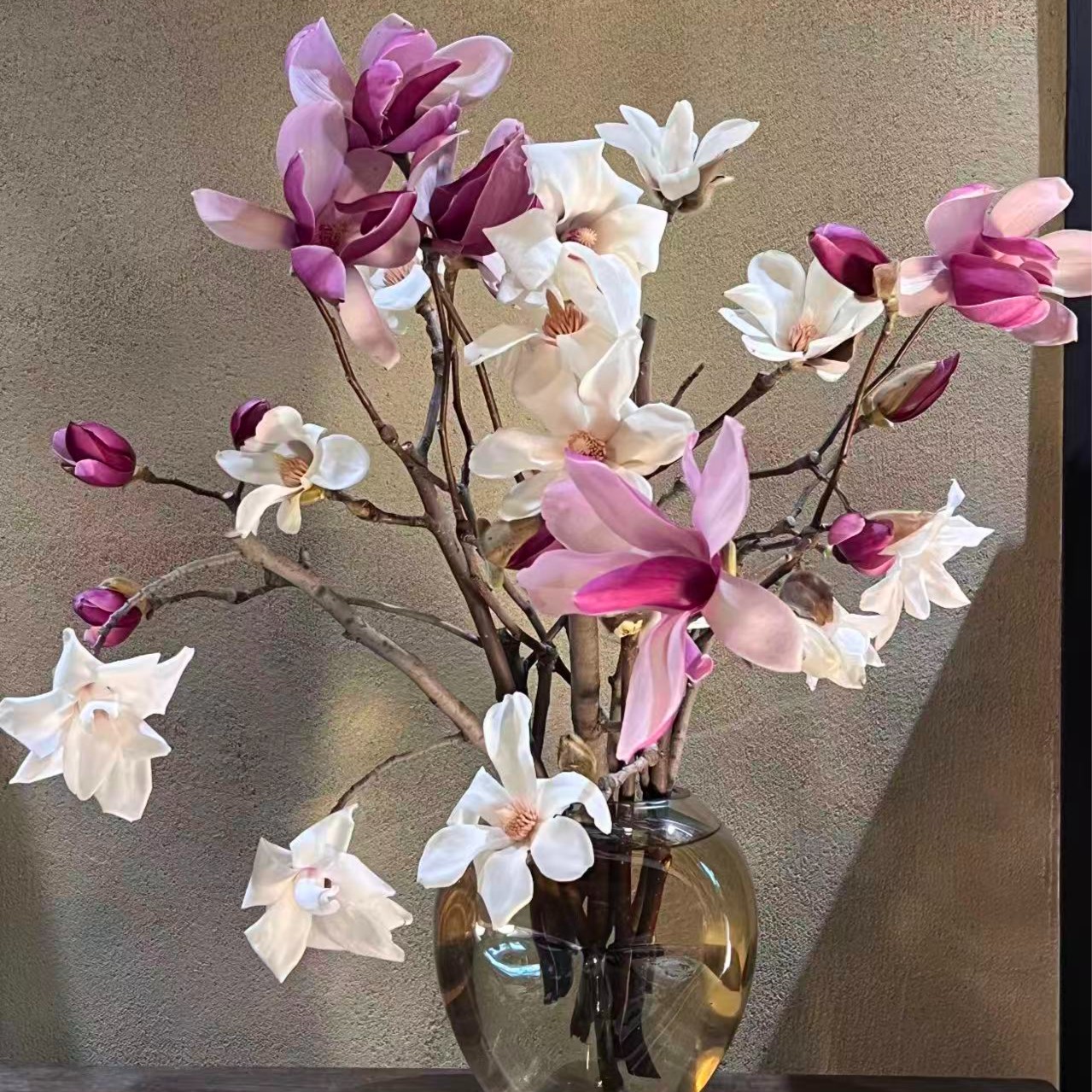 玉兰鲜花水培植物带花苞鲜枝 水养鲜花卉室内耐寒盆栽 开花