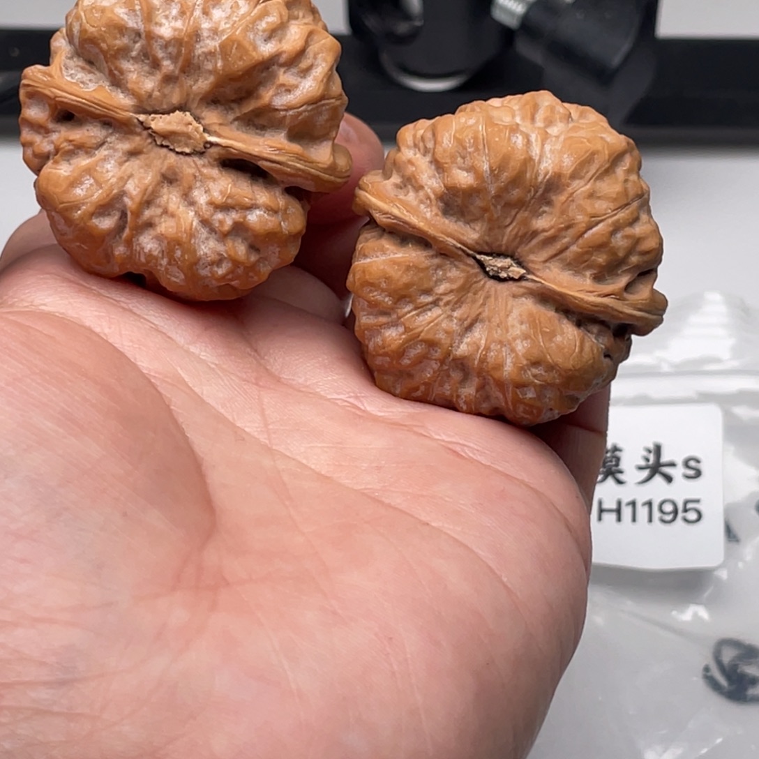 菩提籽类1195蛙蛙蛙