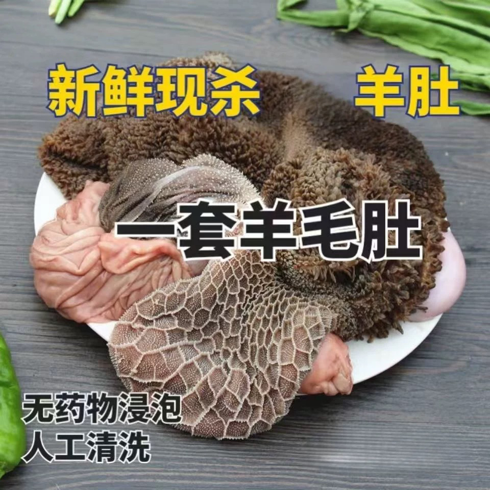 新鲜生羊肚 原生态有味道自行清洗 冷冻发货 中通快递 