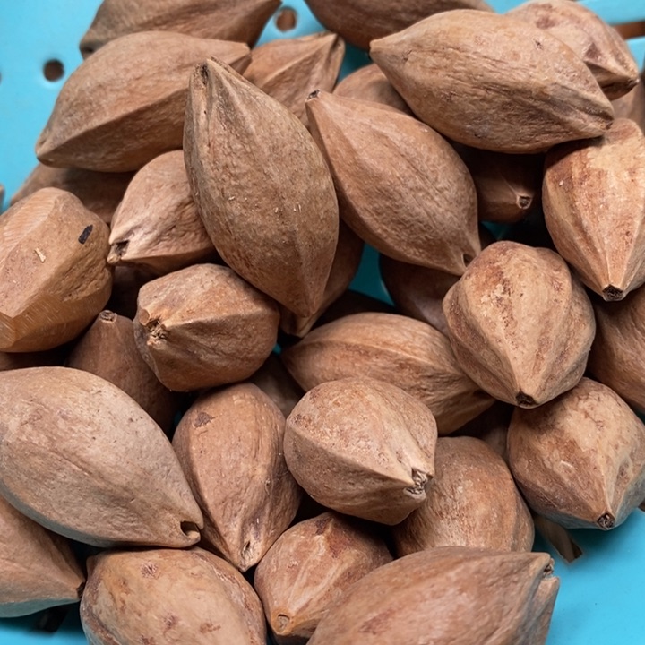 吊坠橄榄核@*一斤