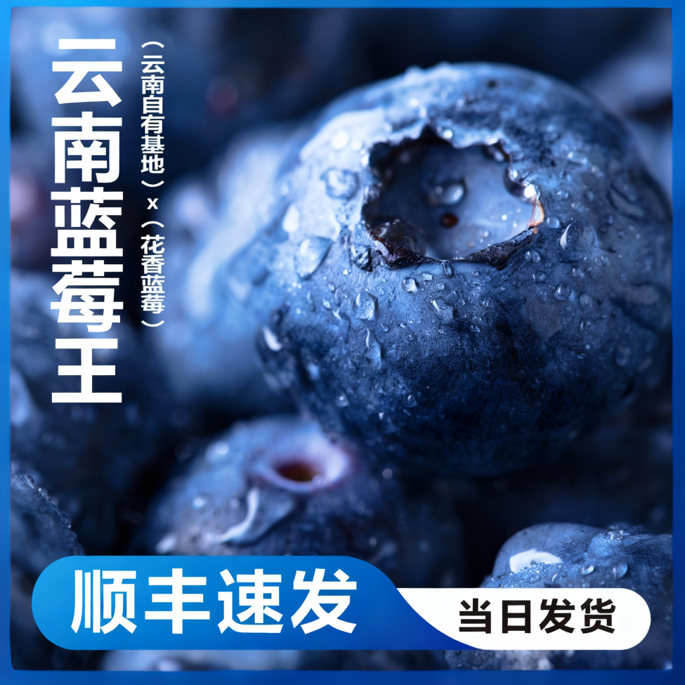 【顺丰/JD】新鲜蓝莓云南当季水果新鲜脆甜 现摘现采特大果花香蓝莓