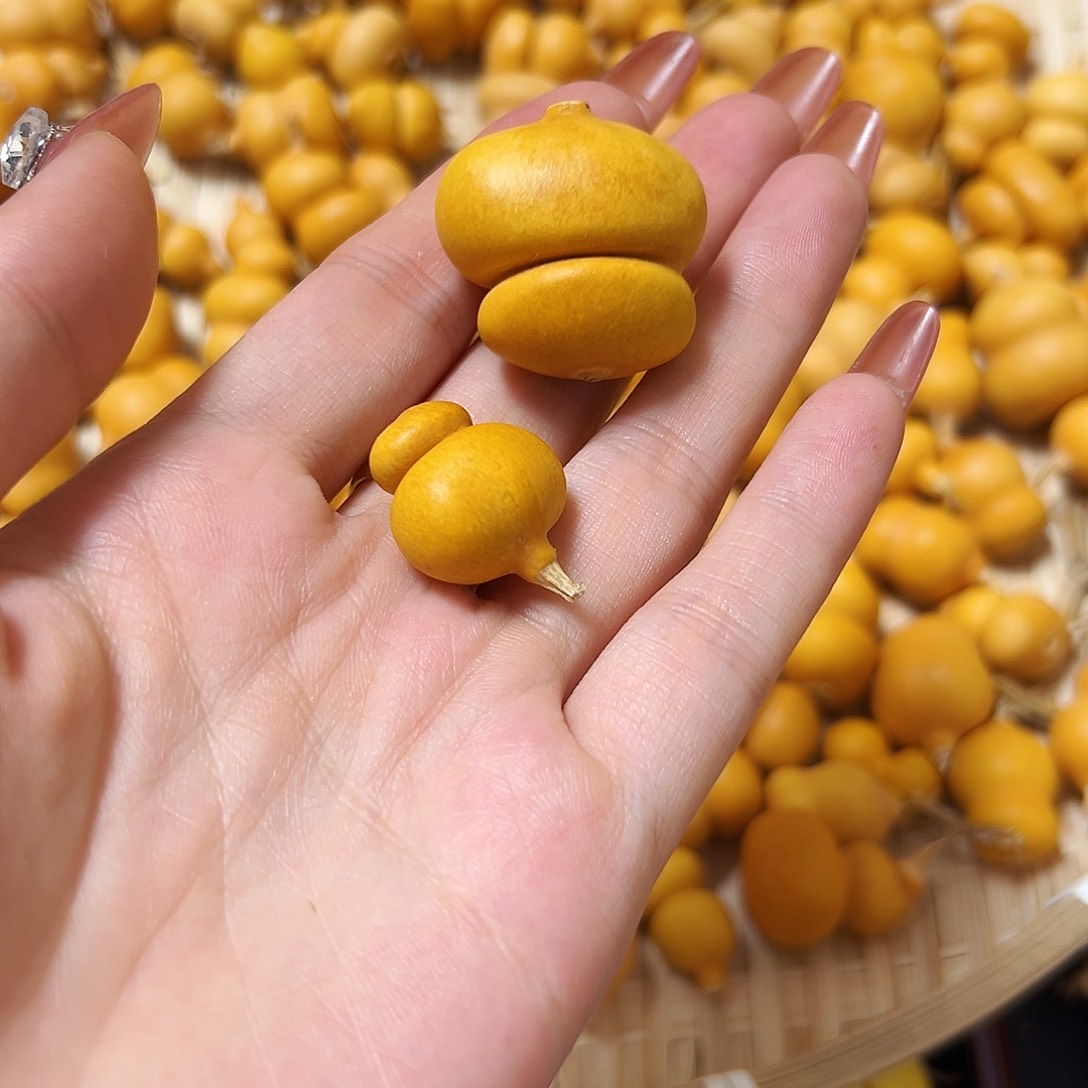 ****记葫芦打孔不退不换