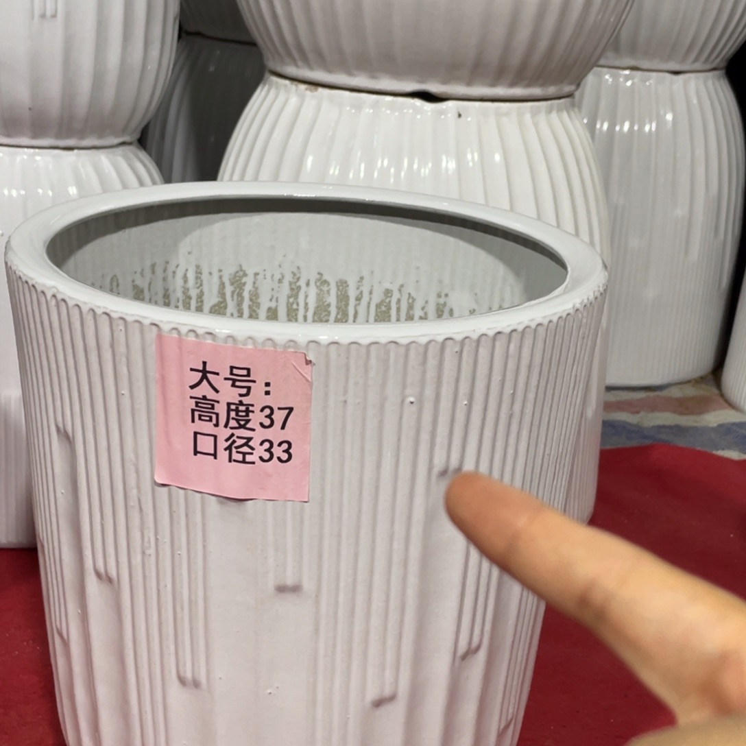 两个大号纯白一级品，