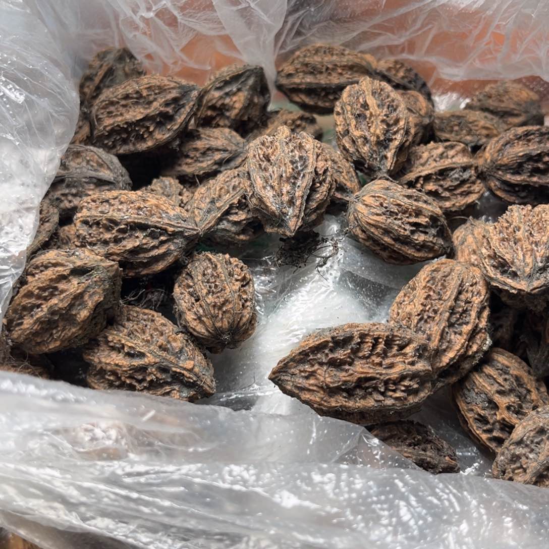 手串文玩核桃核桃121
