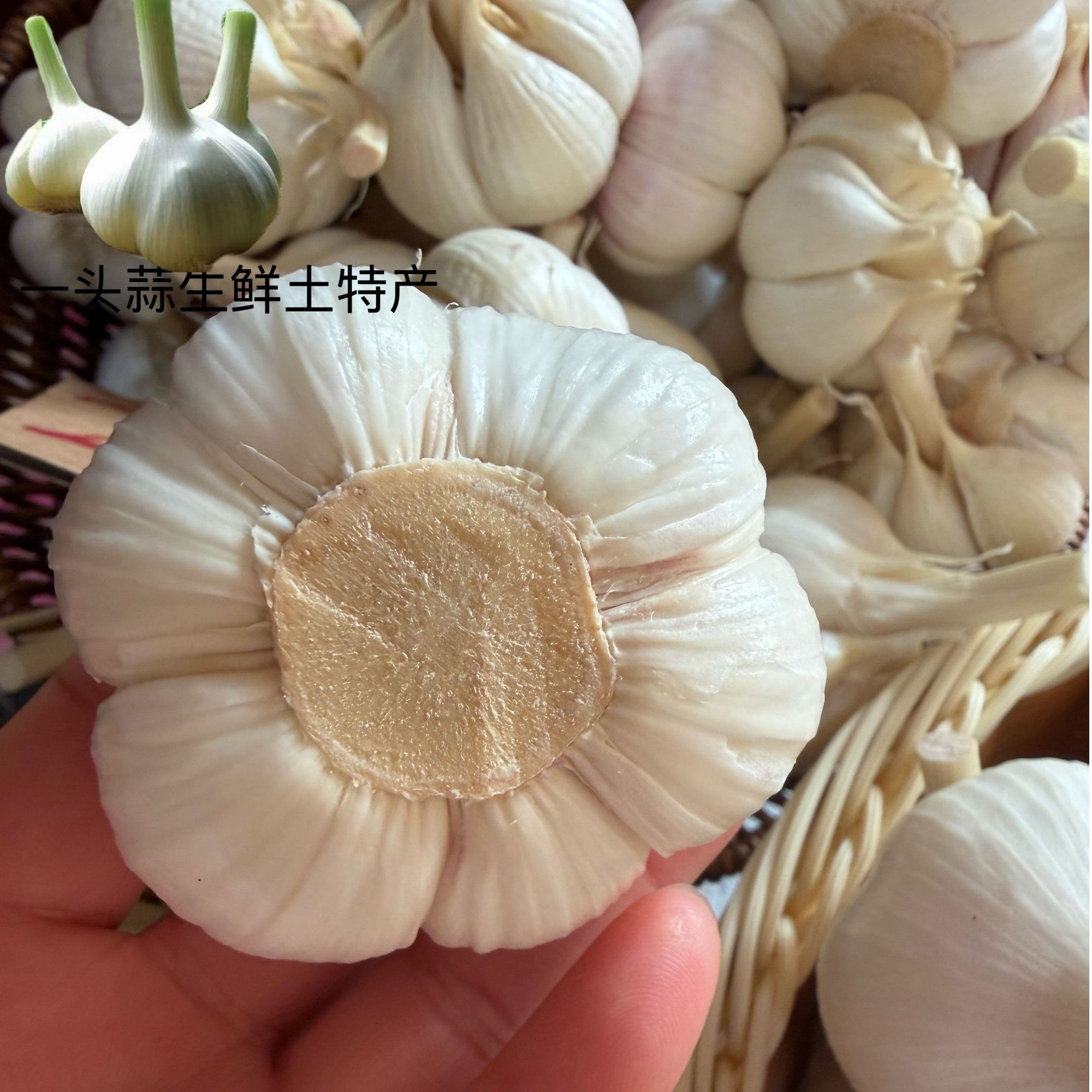 四六瓣鲜蒜破皮不破果饭店餐厅食堂专用超高性价比