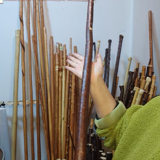 三***人秦岭石山红荀子，牛筋木
