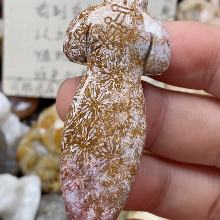 硅化珊瑚（珊瑚玉）未镶嵌颈饰