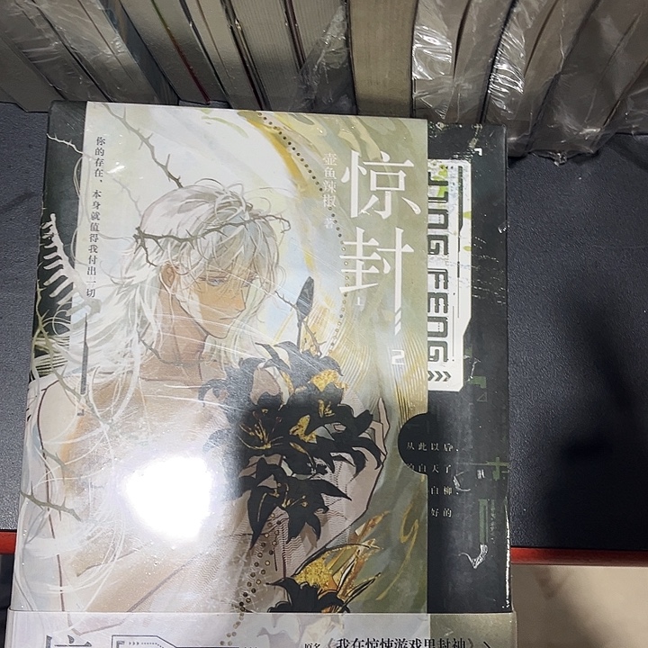 惊封2全新全套两本带随书
