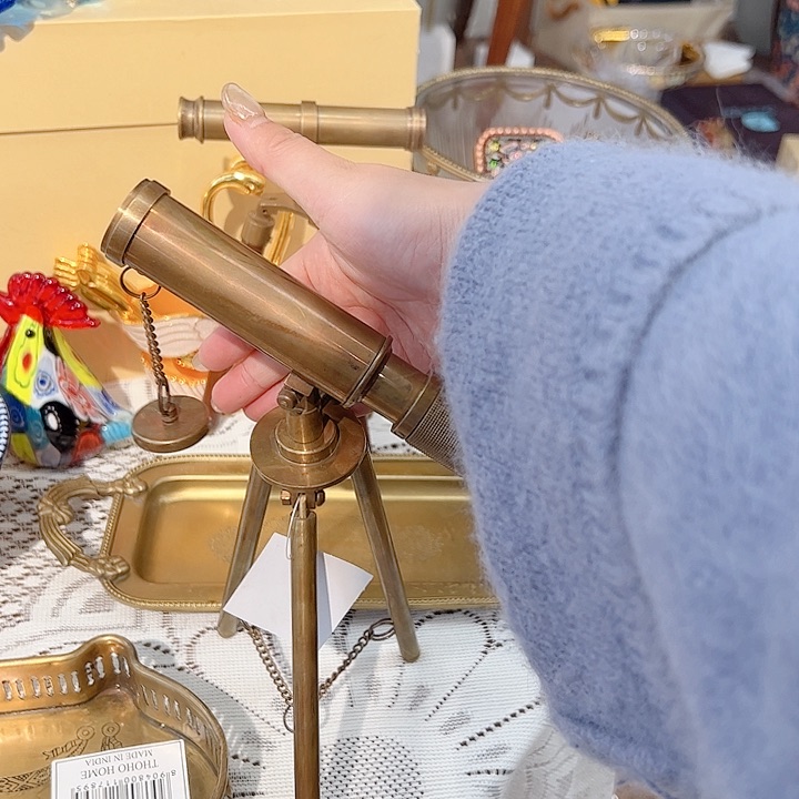 香****a高货摆件家居绿植