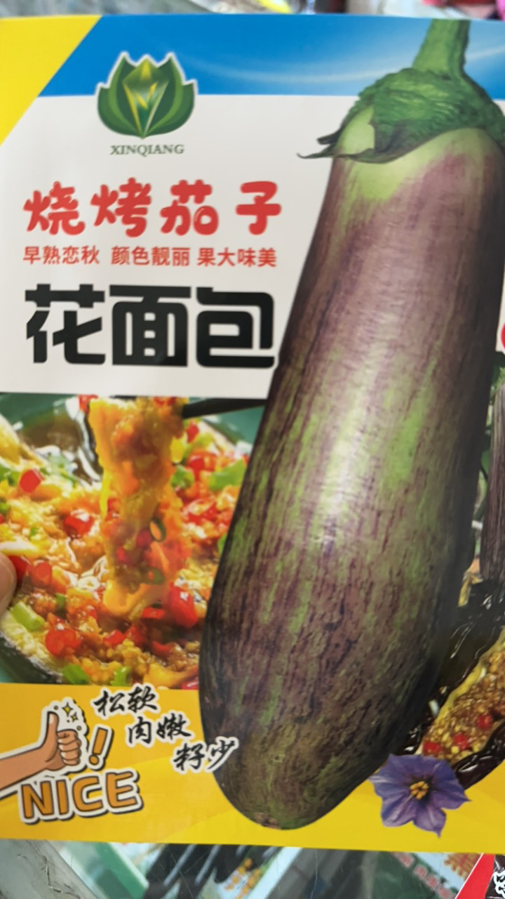 花面包烧烤茄子种子