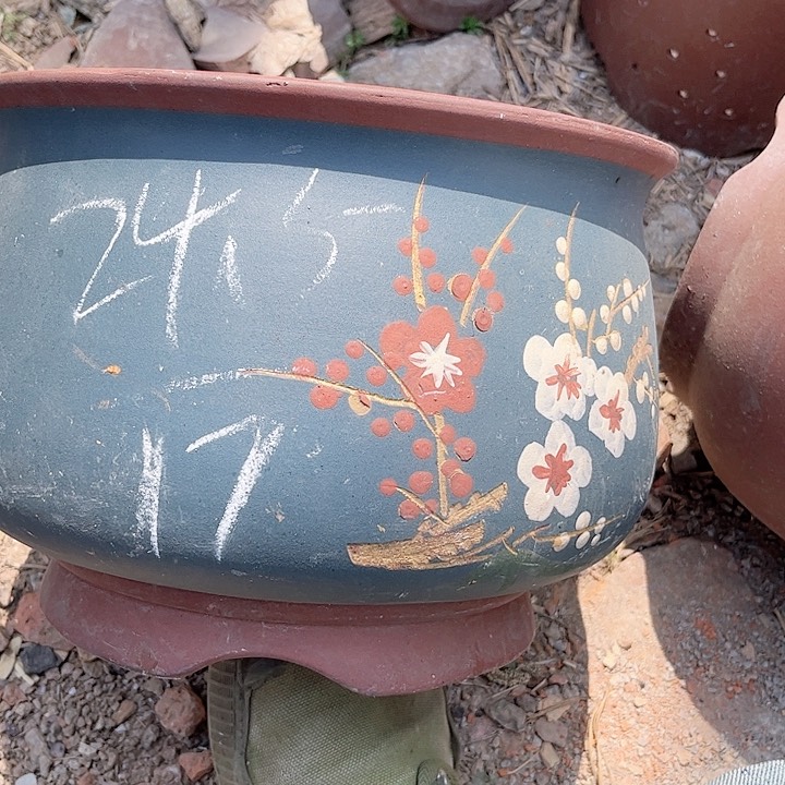 紫砂花盆紫砂花盆
