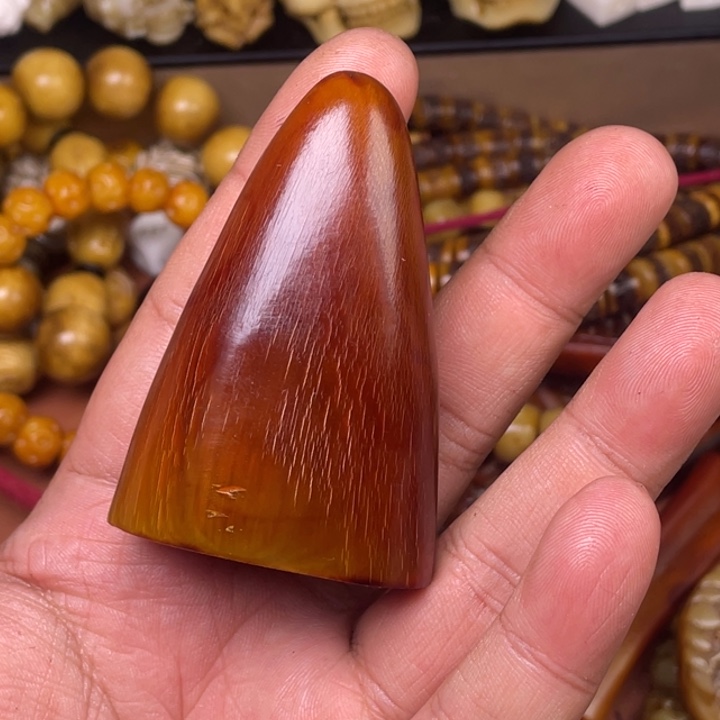 驼骨其他人工养殖