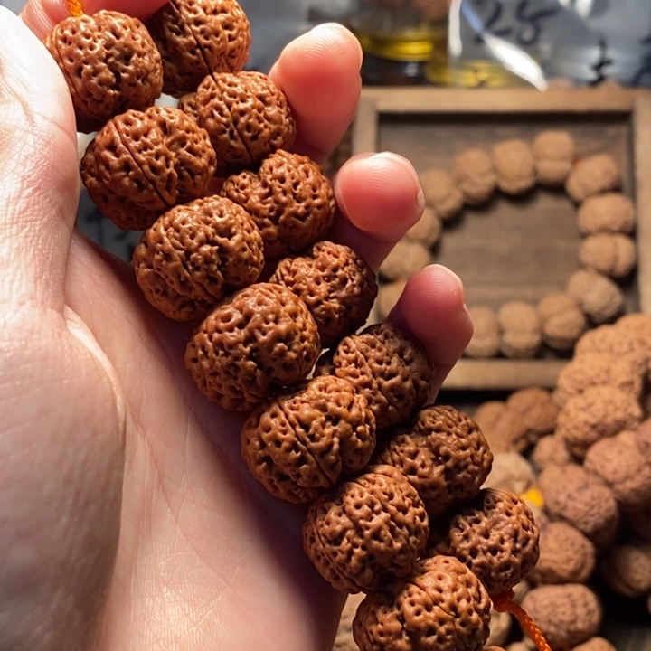 k***o手串金刚菩提20龙牙梅花超头