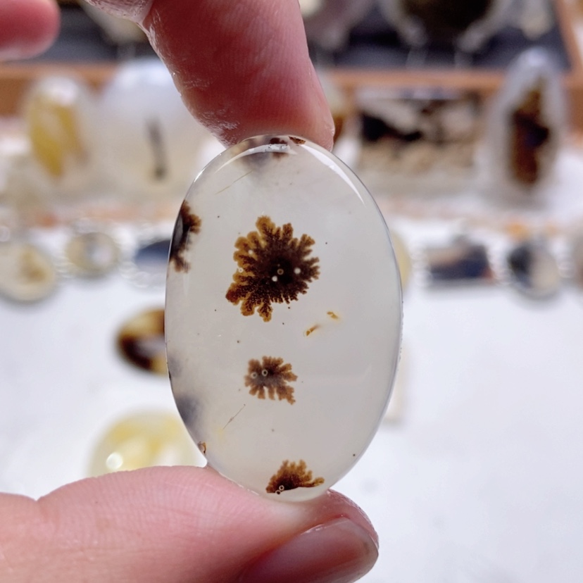 【闪购商品】玛瑙/玉髓颈饰未镶嵌