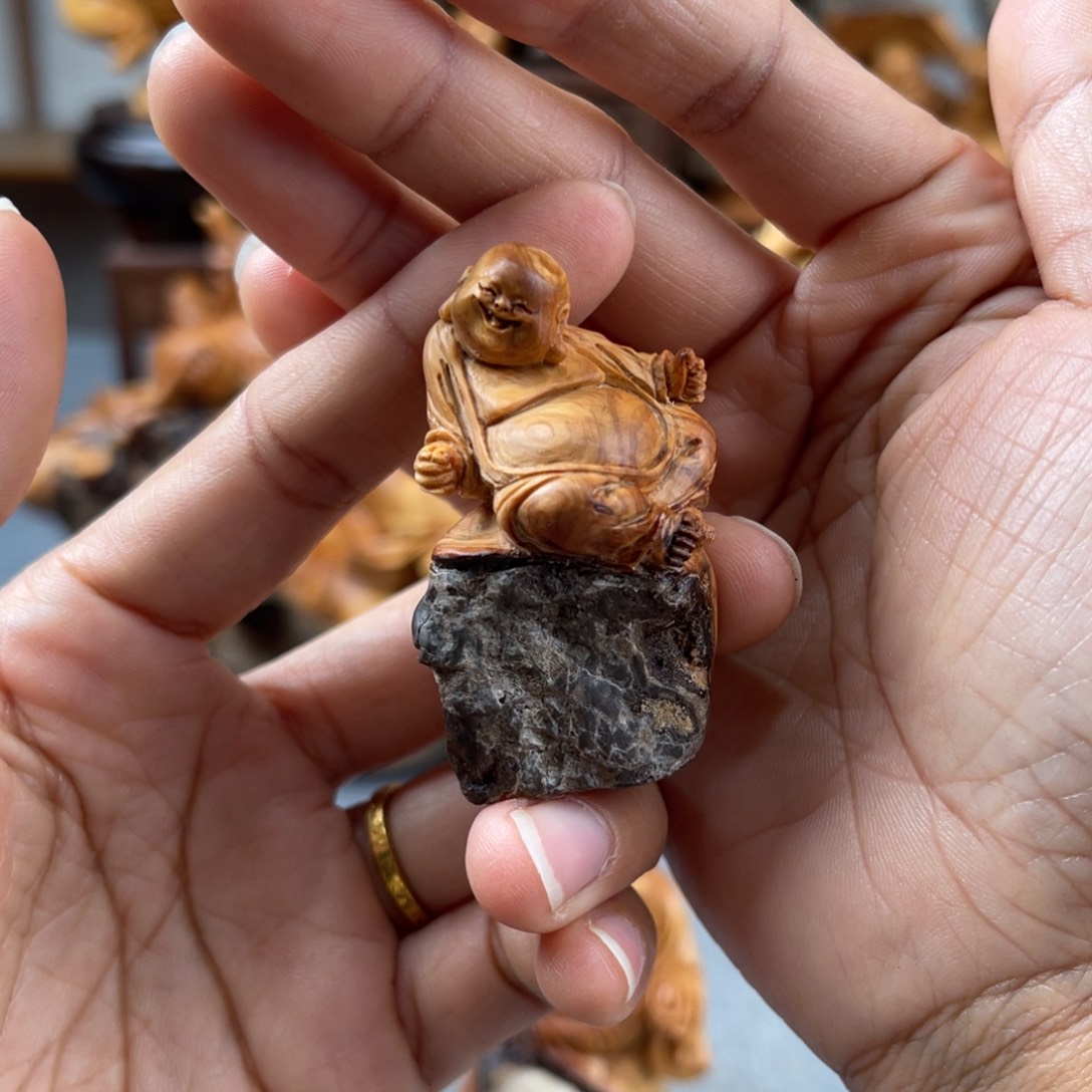 柏木（崖柏）崖柏太行山脉