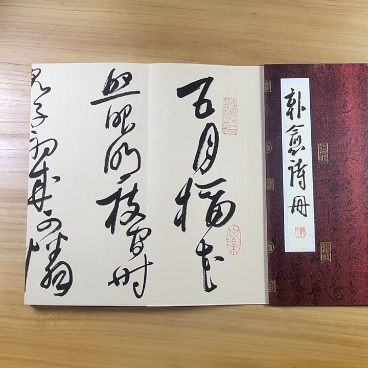 书法中书协老师作品