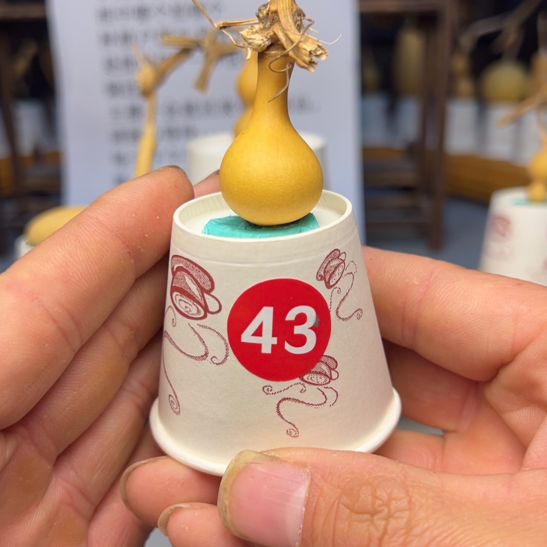闪电购自助下单编号43