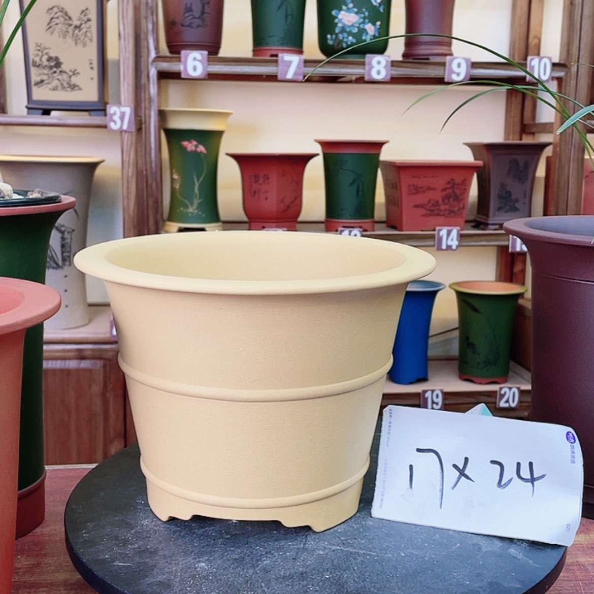 【闪购商品】紫砂花盆兰花5555555555369887