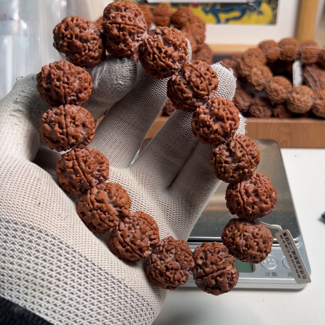 吊坠金刚菩提大尺寸野生籽A7