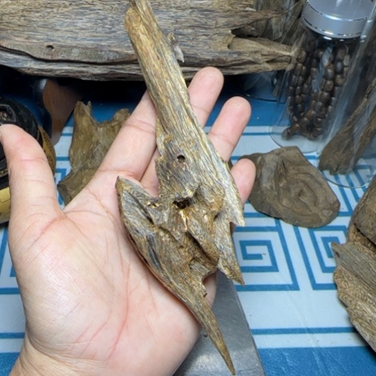 木质绿奇陆河虫漏树心油27克