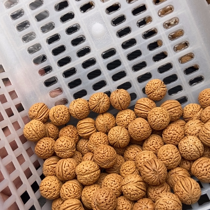 桃核吊坠散发90元优惠活动