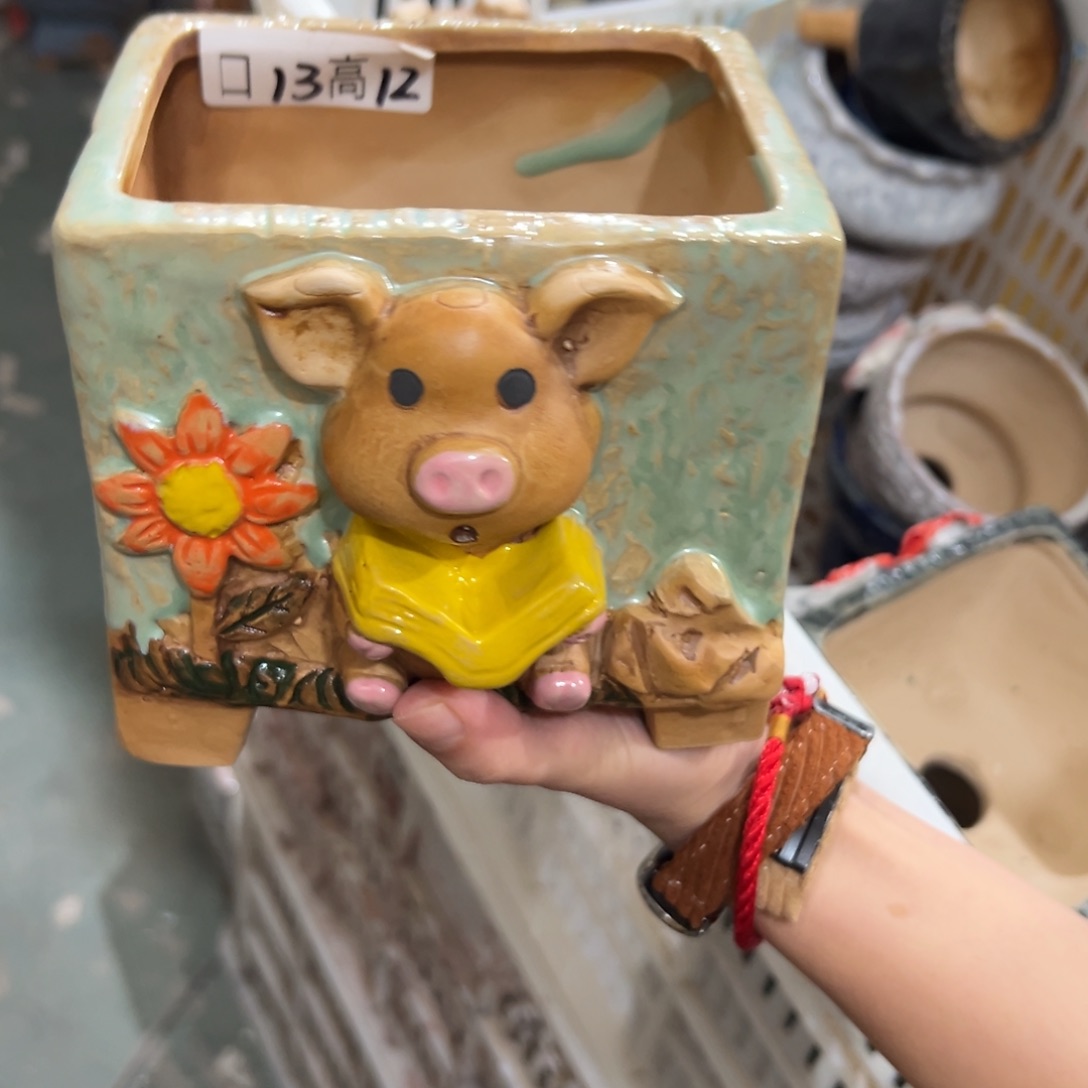 满20米秒退拉黑花盆